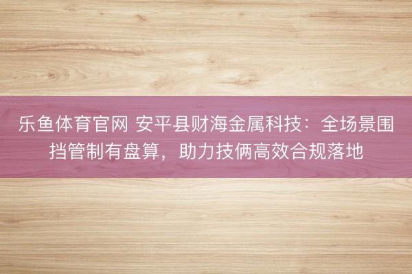 乐鱼体育官网 安平县财海金属科技:全场景围挡管制有盘算,助力技俩高效合规落地