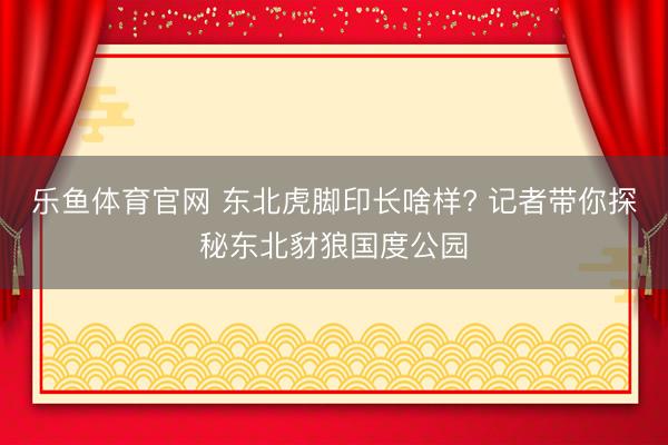 乐鱼体育官网 东北虎脚印长啥样? 记者带你探秘东北豺狼国度公园
